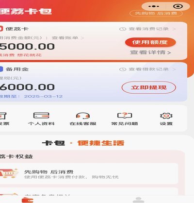 羊小咩取现额度是什么