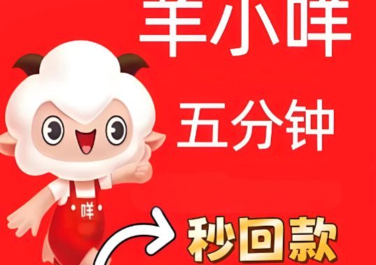 羊小咩取现额度是什么