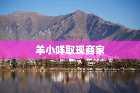羊小咩取现额度是什么