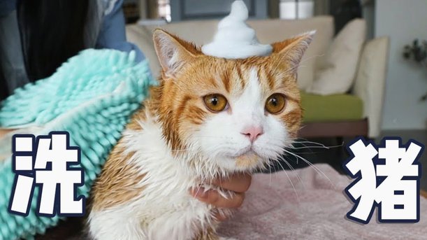 花呗天猫秒套取消方法