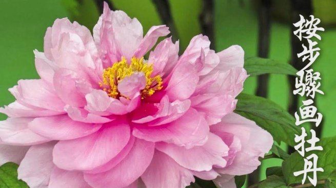花呗合规性如何？当前合法吗
