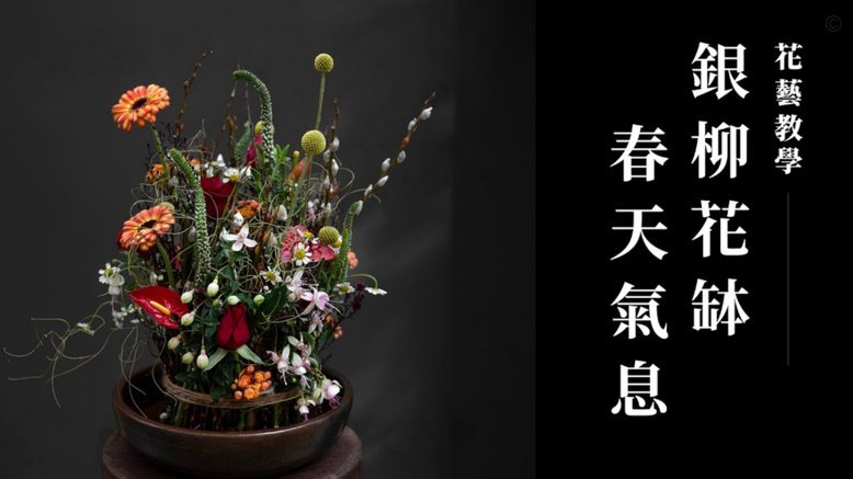 各大购物平台花呗支持情况全解析