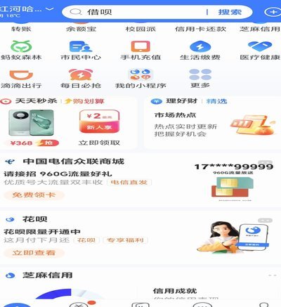 花呗背后的平台：蚂蚁集团与支付宝的深度关联