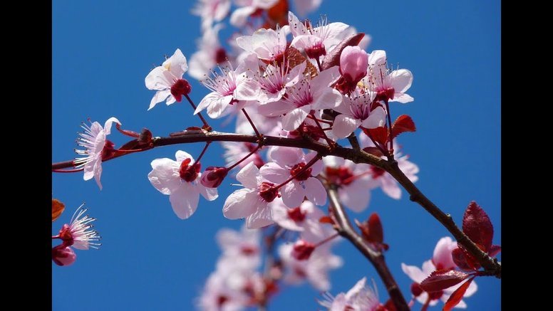 套现花呗违法么