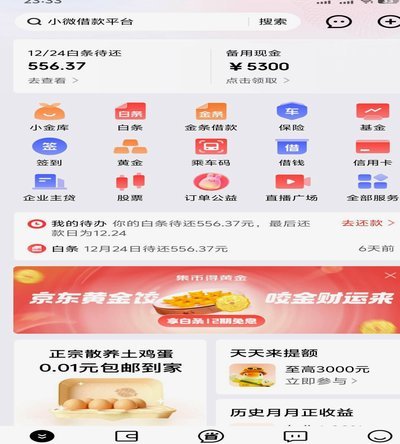 京东白条提现方式 平台是什么