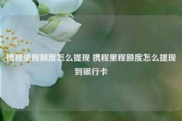 携程金融拿去花可以提现吗