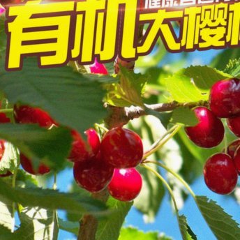 取现背后的隐秘风险之路
