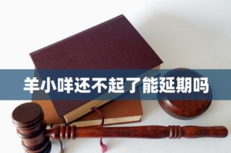 羊小咩延期申请：还能申请多久？