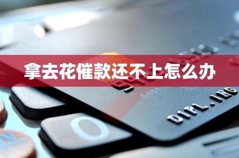 拿去花取现流程及频率注意事项