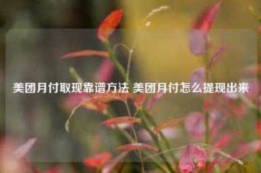 美团月付取现靠谱吗？