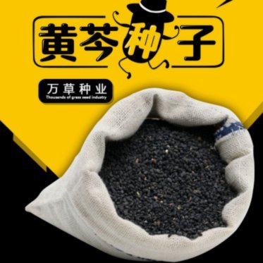 拿去花套现：商家现金交易的陷阱