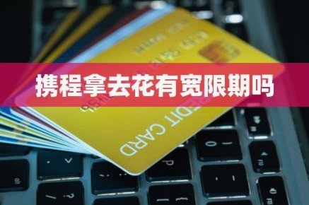 携程“拿去花”购票失败？深层原因大揭秘！