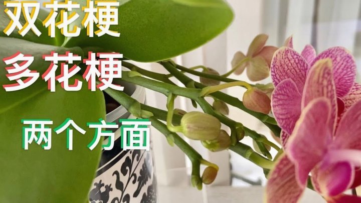 套现花呗有手续费吗安全吗