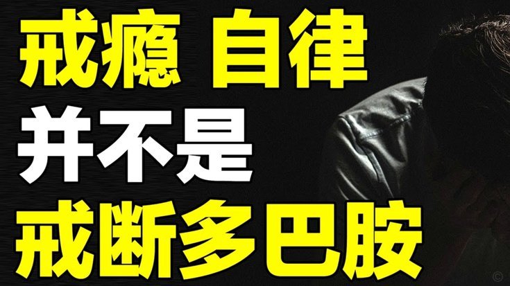 分期乐的商业全景图：市场地位与未来发展趋势分析
