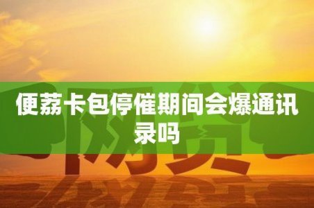 停催能成功吗？解析便荔卡包的品牌转型之路