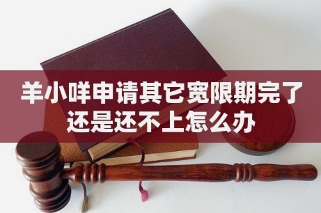 实用技巧与攻略