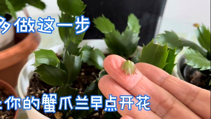 信用秒到账，即刻可用