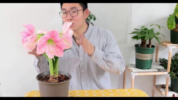 携程拿去花 如何开通？
