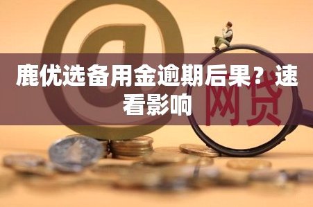 鹿优选5000备用金靠谱吗