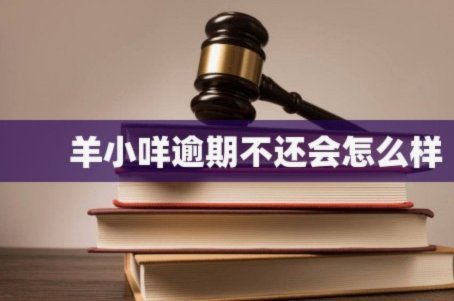 羊小咩贷款逾期会怎么样