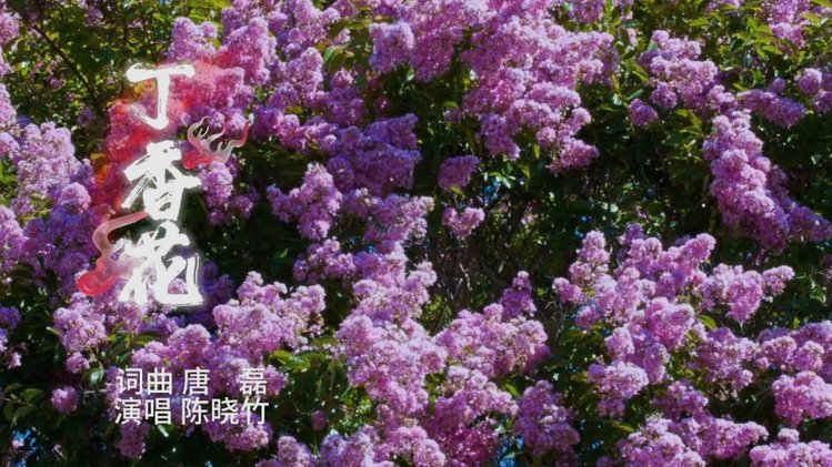花呗套花呗 出来有风险吗