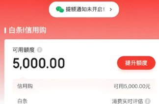 京东白条提现方式 怎么取消