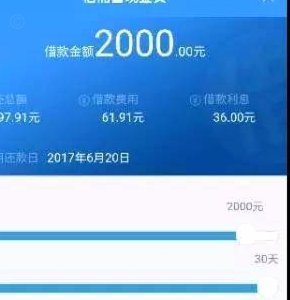 拍拍借款