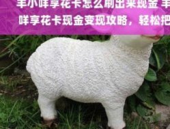 羊小咩：垂直兴趣社群的新生态
