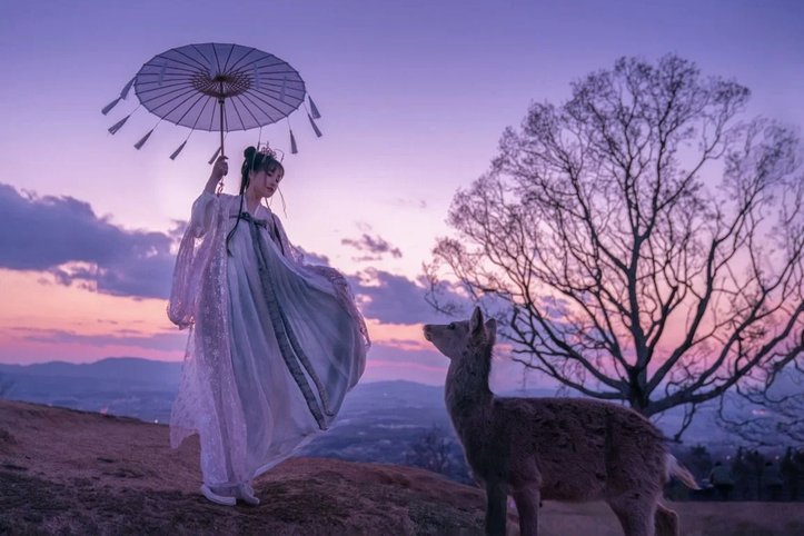 花呗套钱：揭秘背后的金融漏洞