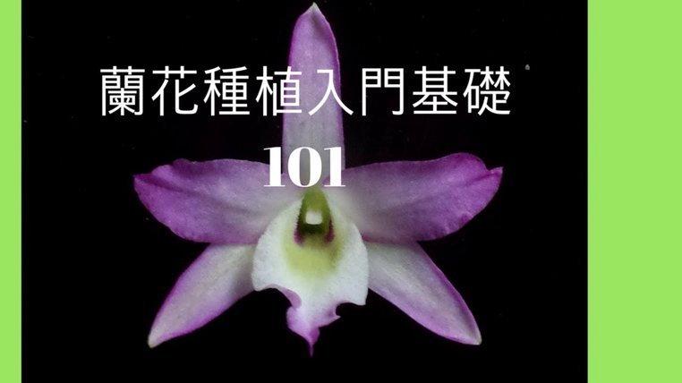 花呗现在情况 平台会关闭吗