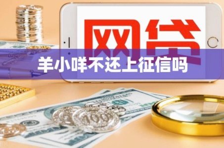 羊小咩有购物额度会不会没有借款额度