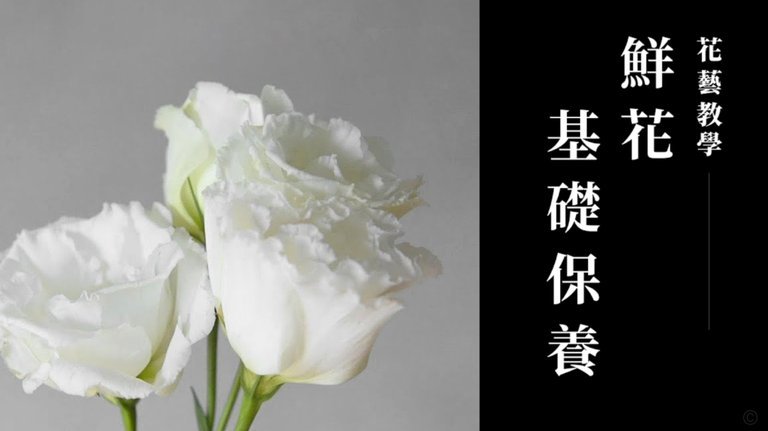 拿去花如何找商家套现