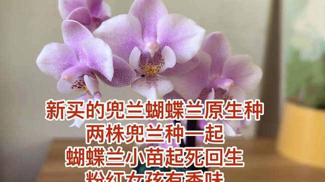 携程拿去花能提现吗？揭秘背后运营逻辑