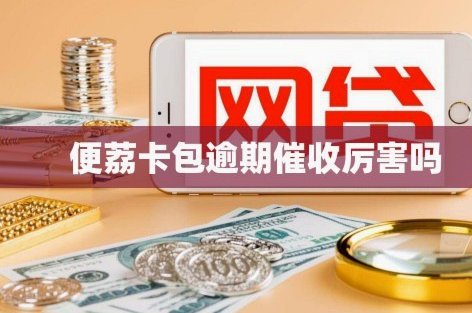 便荔卡包资方哪家放款的