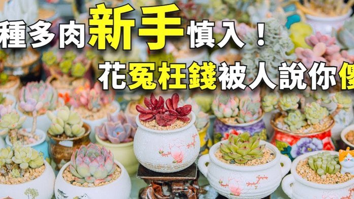 花呗付款商家如何提现？