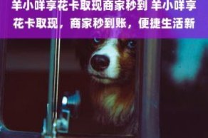 羊小咩商家秒到