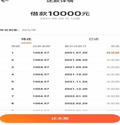 羊小咩怎么一次性还款