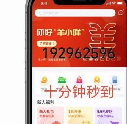 羊小咩：信任背后的金融密码