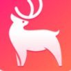 鹿优选为何秒拒我爱卡合作？