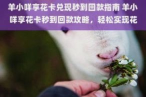 羊小咩享花卡秒到账三大攻略