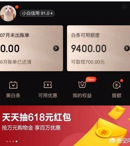 不止京东：白条如何打通多平台支付新生态