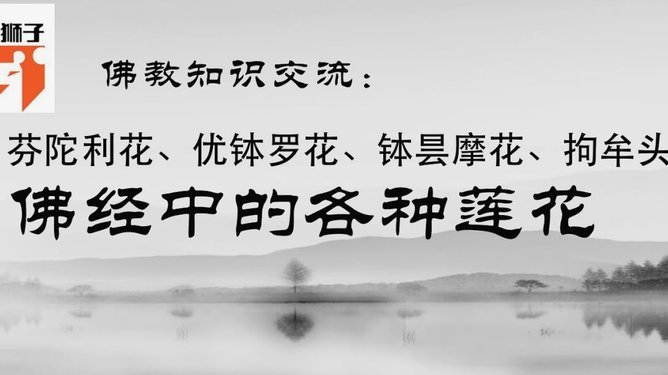 花呗套额度：套路与风险揭秘