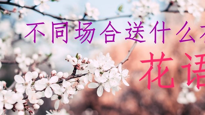 什么叫花呗套额度
