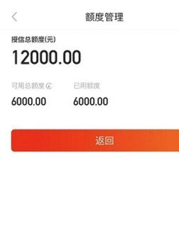 羊小咩额度快速到账技巧分享