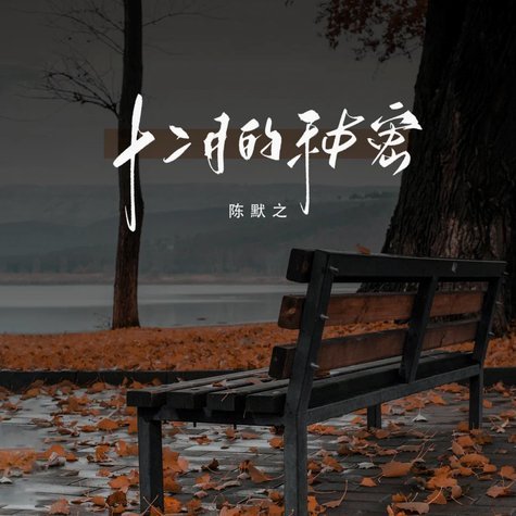 分期乐秒拒第二天通过